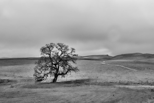 Cloudy March Photograph